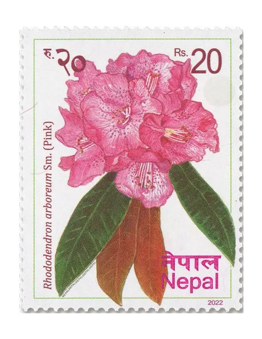 n° 1372/1377 - Timbre NEPAL Poste