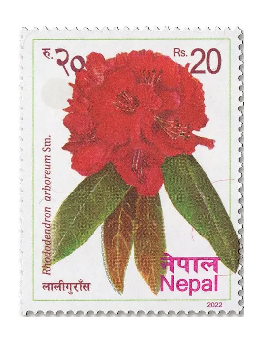 n° 1372/1377 - Timbre NEPAL Poste