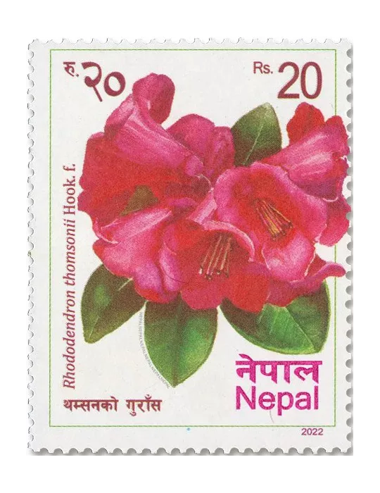 n° 1372/1377 - Timbre NEPAL Poste