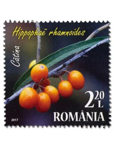 n° 6201/6204 - Timbre ROUMANIE Poste