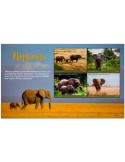 n° 5938/5941 - Timbre LIBERIA Poste
