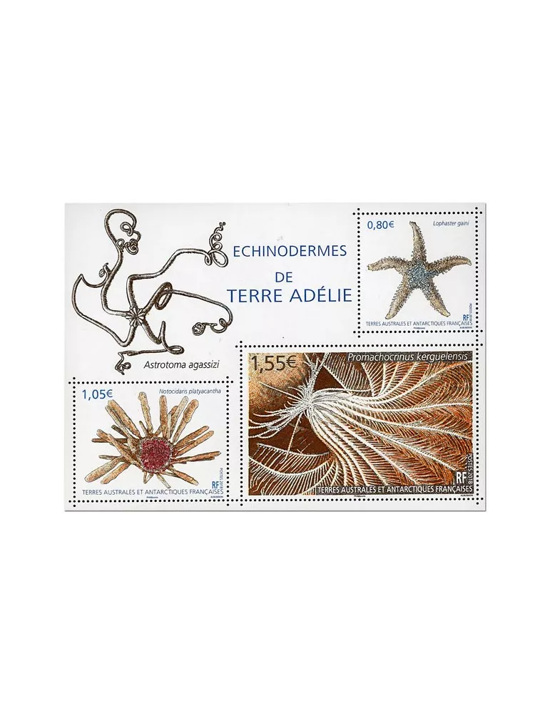 n° F865 - Timbre TAAF Poste