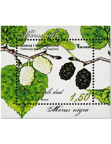 n° 60 - Timbre BOSNIE-HERZEGOVINE Blocs et feuillets