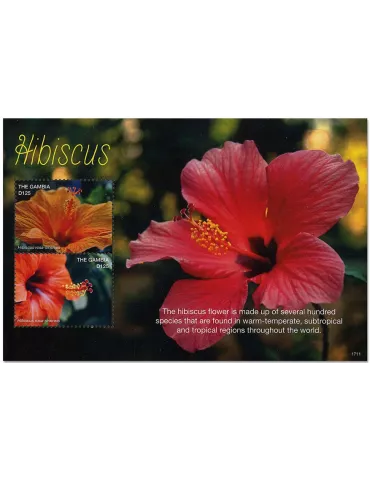 n° 889 - Timbre GAMBIE Blocs et feuillets