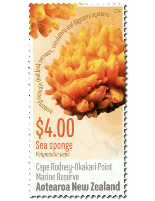 n° 3803/3806 - Timbre NOUVELLE-ZELANDE Poste