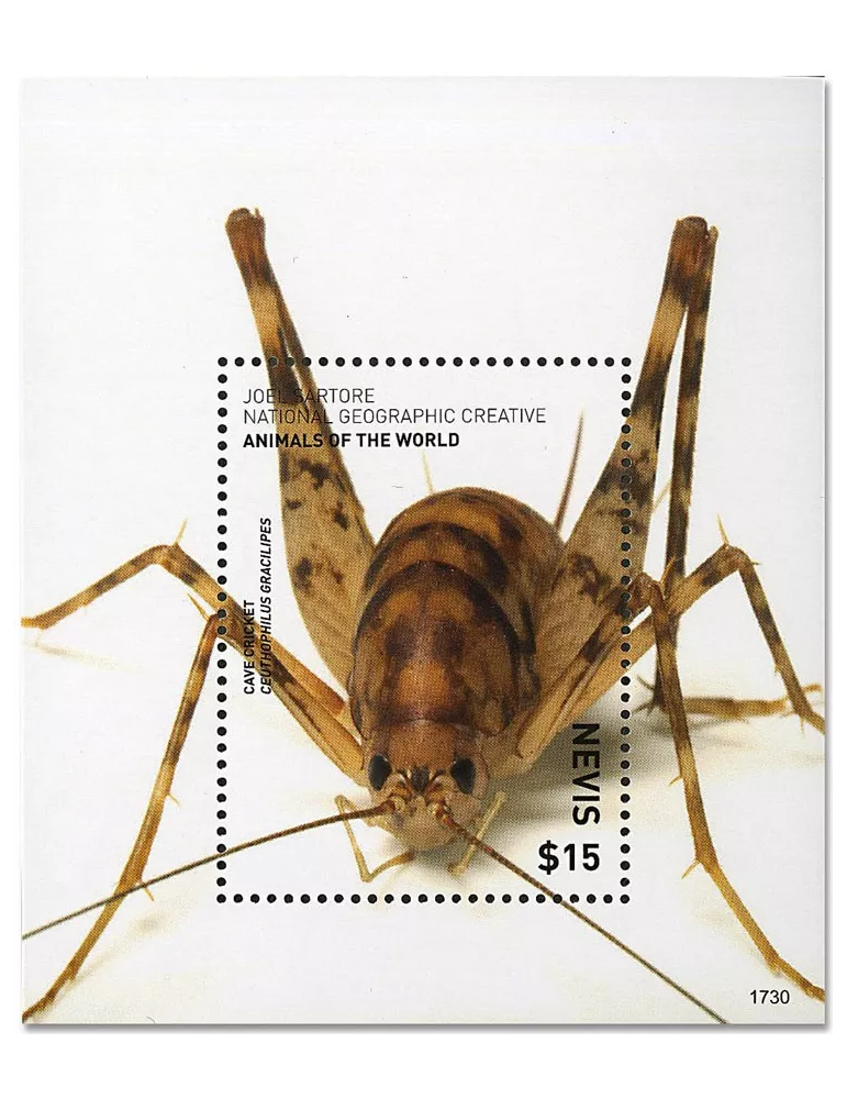 n° 384 - Timbre NEVIS Blocs et feuillets