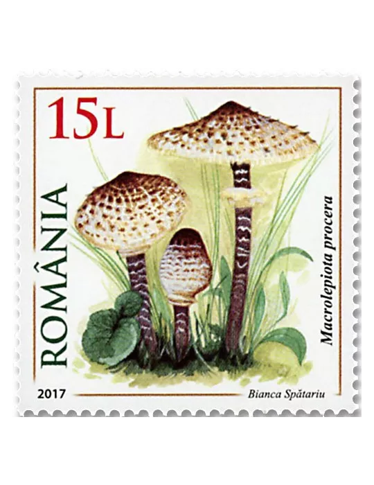 n° 6205/6208 - Timbre ROUMANIE Poste