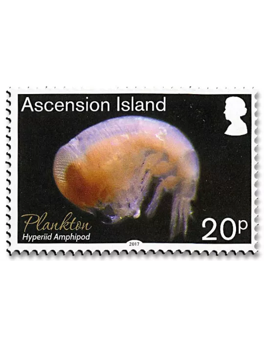 n° 1185/1190 - Timbre ASCENSION Poste