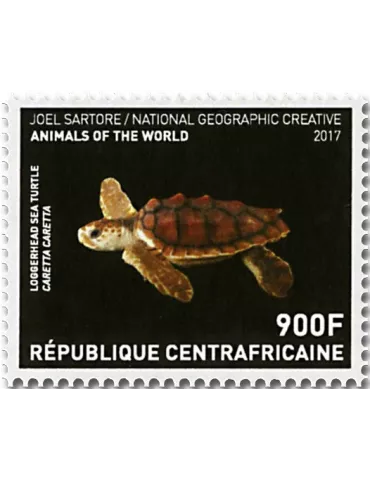 n° 5269/5272 - Timbre CENTRAFRIQUE Poste 2