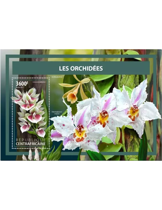 n° 1167 - Timbre CENTRAFRIQUE Blocs et feuillets