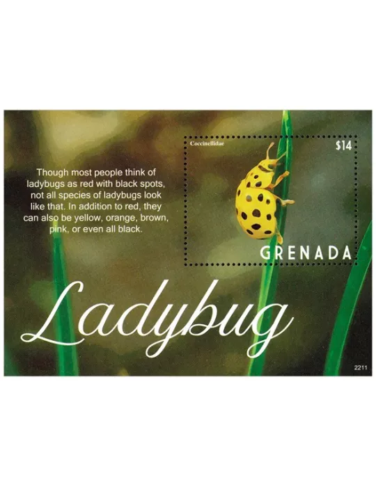 n° 937 - Timbre GRENADE Blocs et feuillets