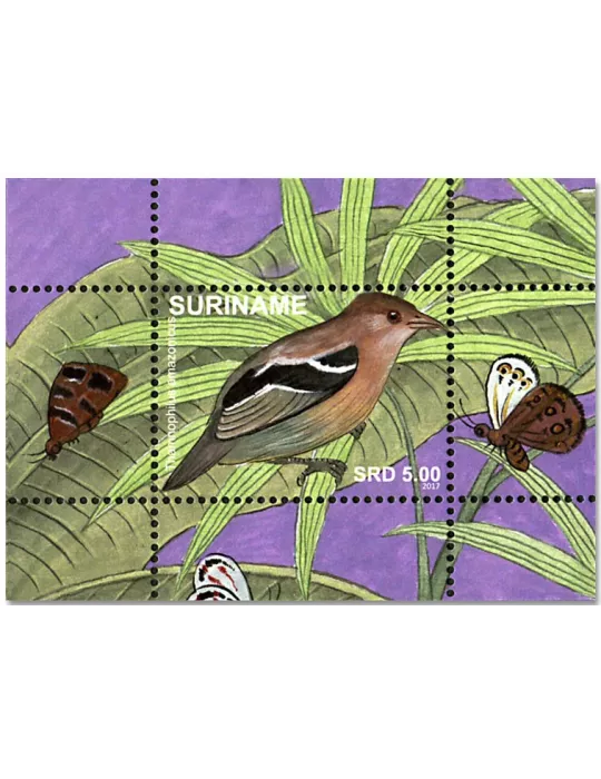 n° 126/137 - Timbre SURINAM Blocs et feuillets