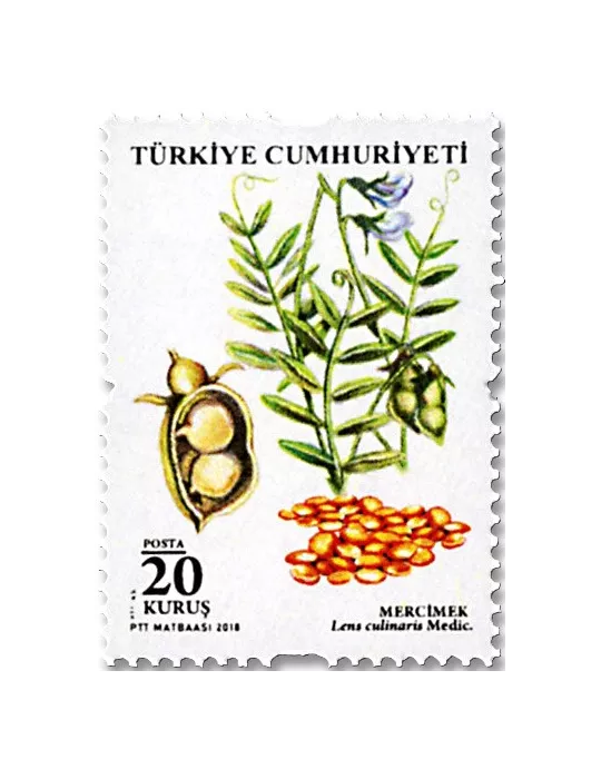 n° 3870/3875 - Timbre TURQUIE Poste