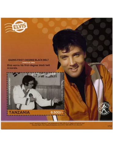 n° 617 - Timbre TANZANIE Blocs et feuillets