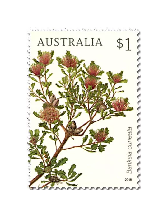 n° 4566/4569 - Timbre AUSTRALIE Poste