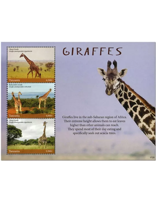 n° 4069/4071 - Timbre TANZANIE Poste
