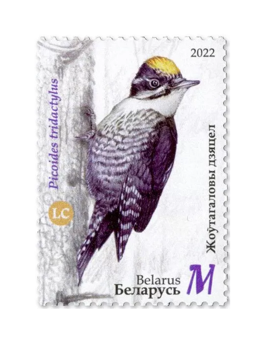 n° 1218/1222 - Timbre BIELORUSSIE Poste