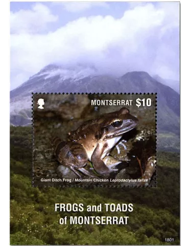 n° 180 - Timbre MONTSERRAT Blocs et feuillets