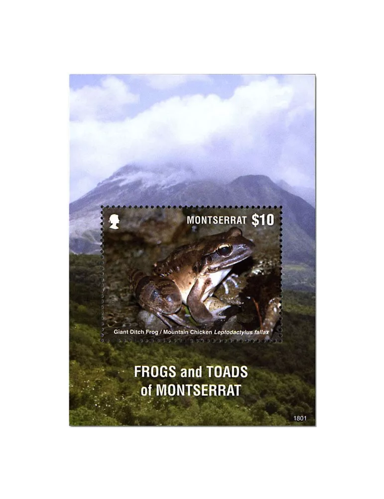 n° 180 - Timbre MONTSERRAT Blocs et feuillets