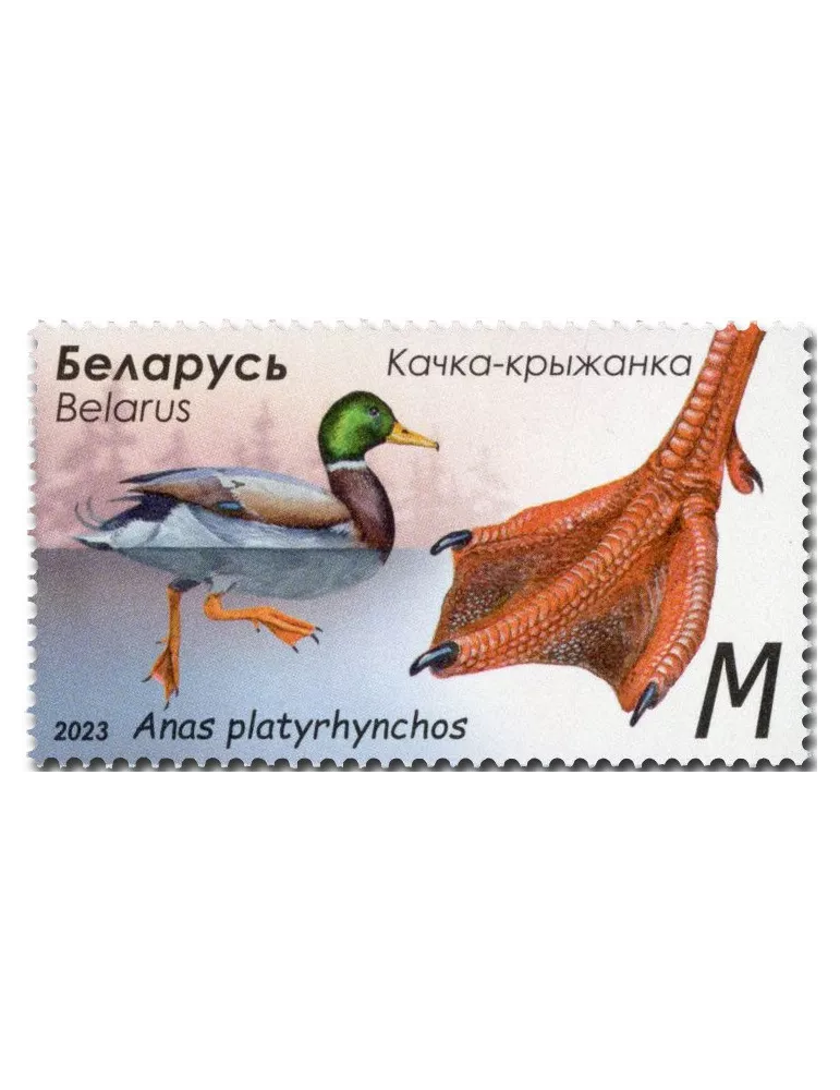 n° 1255/1258 - Timbre BIELORUSSIE Poste