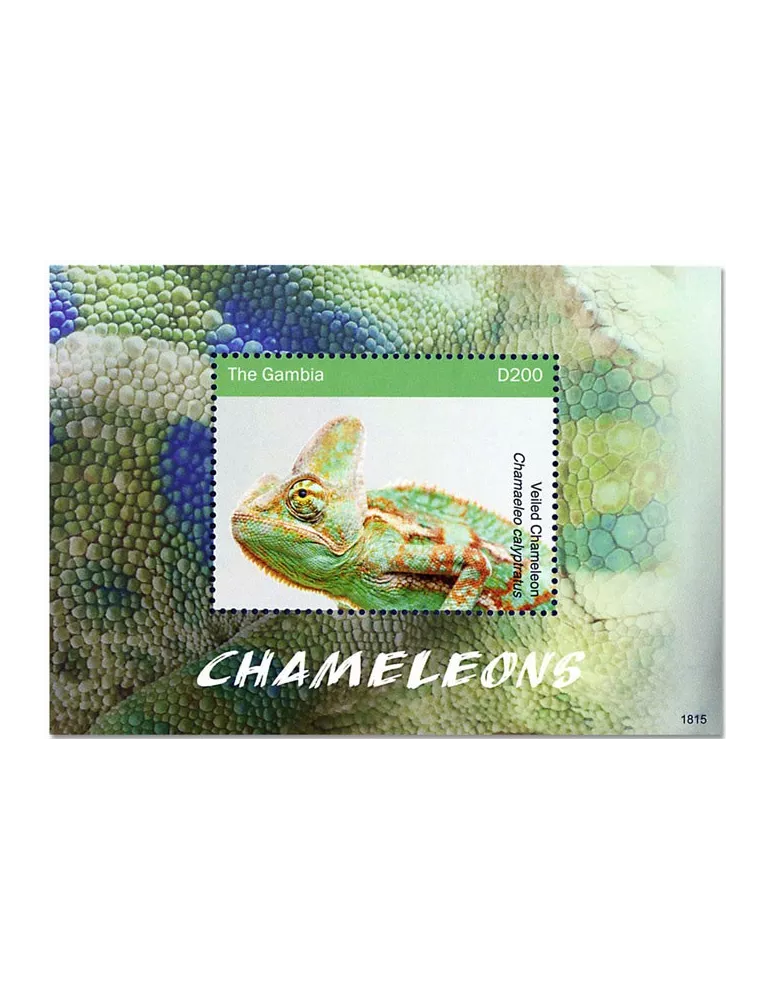 n° 904 - Timbre GAMBIE Blocs et feuillets