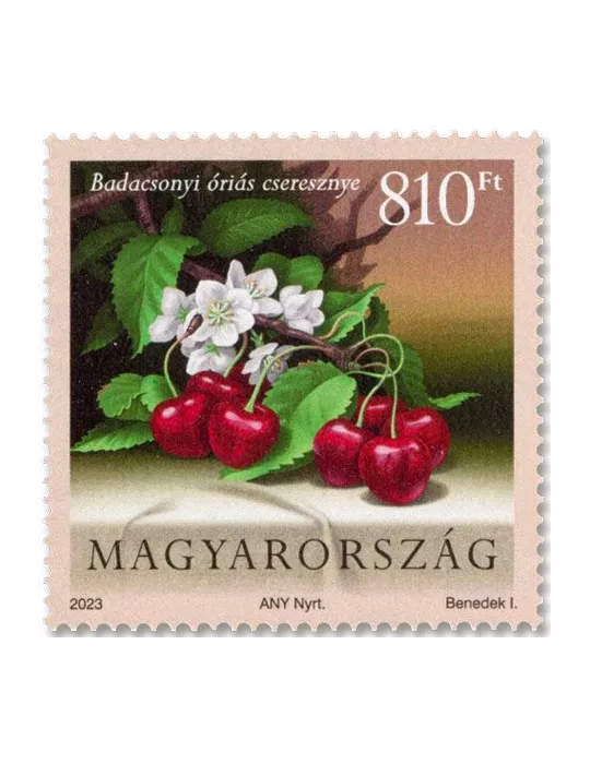 n° 4876/4877 - Timbre HONGRIE Poste