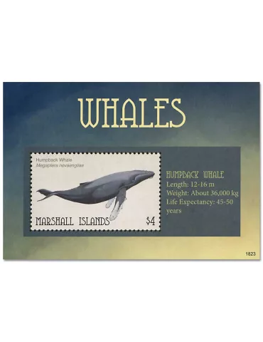 n° 89 - Timbre MARSHALL Blocs et feuillets