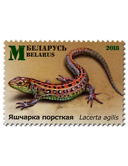 n° 1057/1059 - Timbre BIELORUSSIE Poste