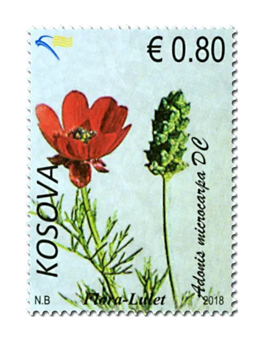 n° 289/293 - Timbre KOSOVO Poste