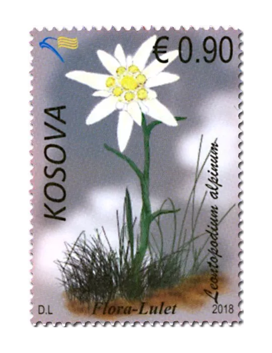 n° 289/293 - Timbre KOSOVO Poste