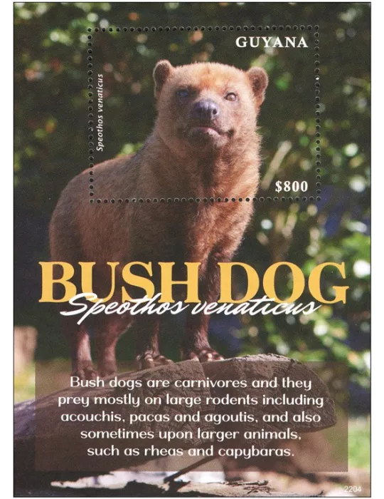 n° 725 - Timbre GUYANA Blocs et feuillets