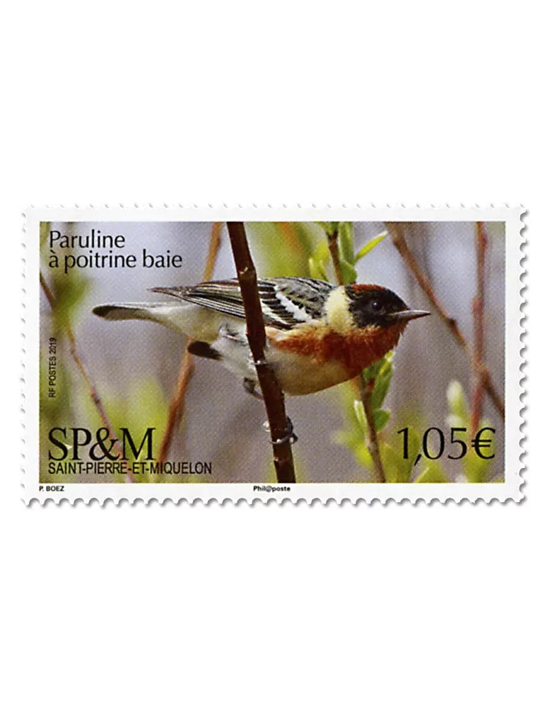 n° 1214 - Timbre Saint-Pierre et Miquelon Poste