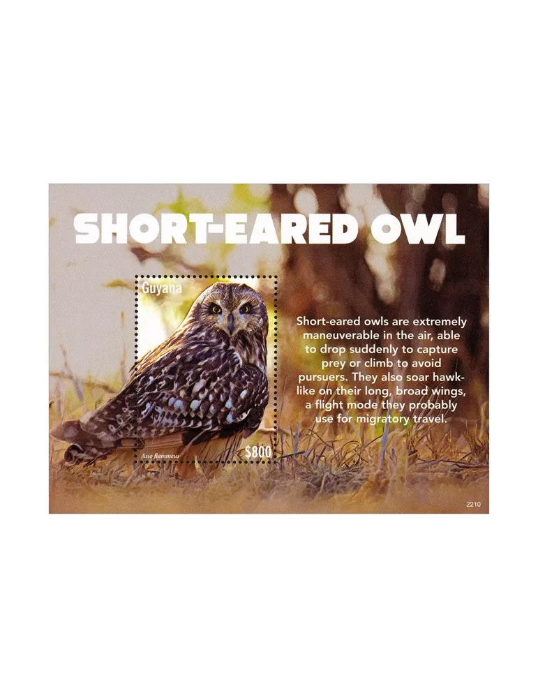 n° 730 - Timbre GUYANA Blocs et feuillets