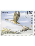 n° 5562 - Timbre Chine Poste