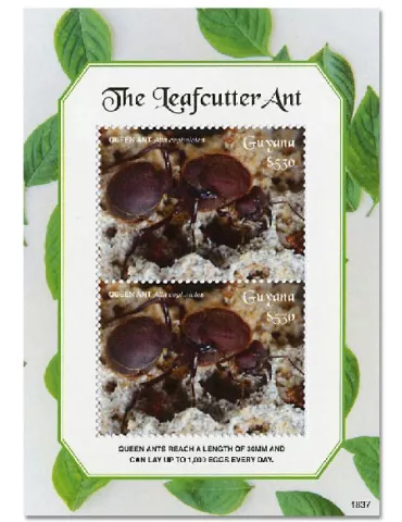 n° 675 - Timbre GUYANA Blocs et feuillets