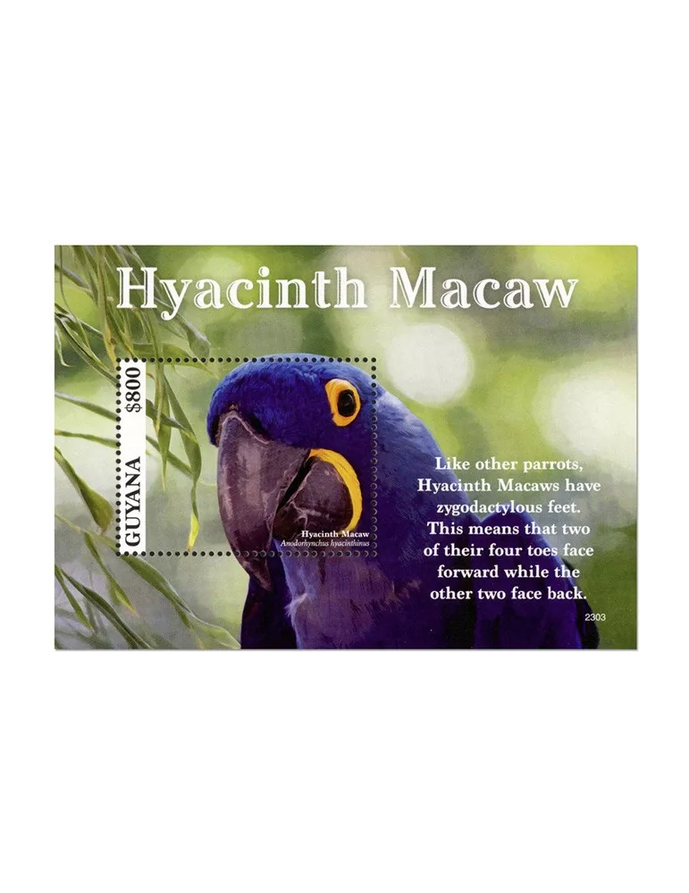 n° 736 - Timbre GUYANA Blocs et feuillets