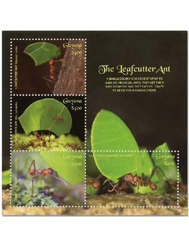 n° 7017/7020 - Timbre GUYANA Poste