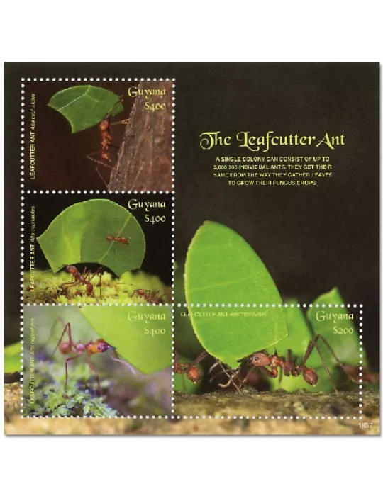 n° 7017/7020 - Timbre GUYANA Poste