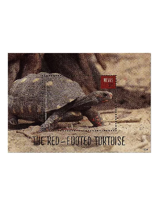 n° 401 - Timbre NEVIS Blocs et feuillets