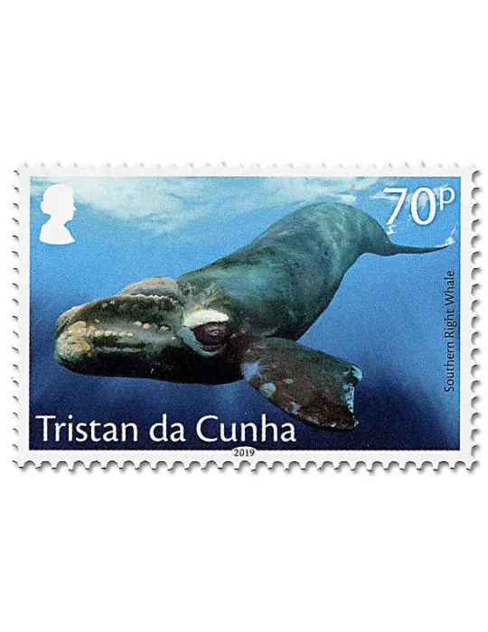 n° 1216/1219 - Timbre TRISTAN DA CUNHA Poste