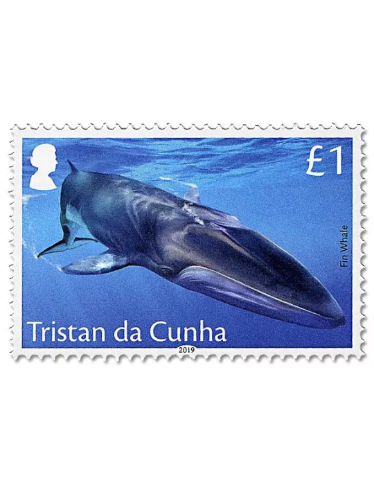 n° 1216/1219 - Timbre TRISTAN DA CUNHA Poste