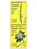 n° 455/456 - Timbre HERCEG-BOSNA Poste
