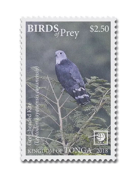 n° 1530/1541 - Timbre TONGA Poste