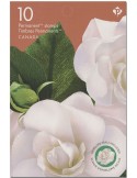 n° C3588 - Timbre CANADA Carnets
