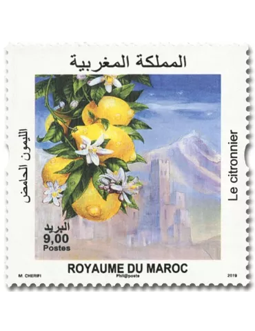 n° 1830/1831 - Timbre MAROC Poste 2