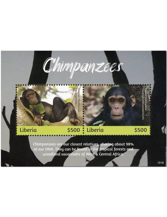 n° 782 - Timbre LIBERIA Blocs et feuillets