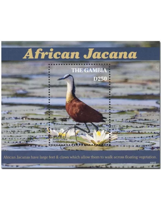 n° 926 - Timbre GAMBIE Blocs et feuillets