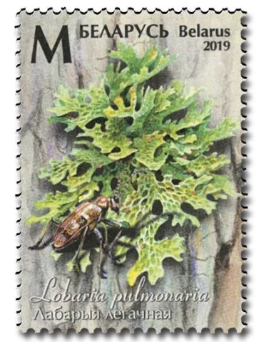 n° 1089/1091 - Timbre BIELORUSSIE Poste 2