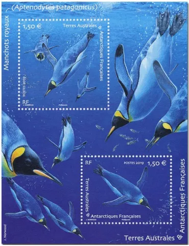 n° F910 - Timbre TAAF Poste