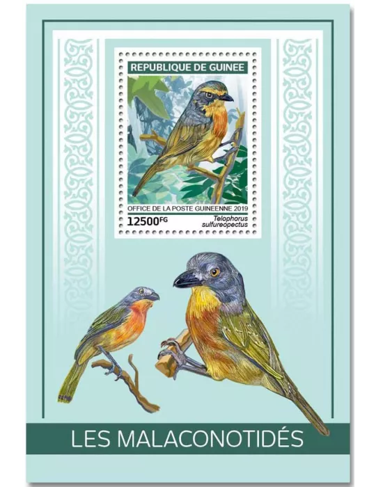 n° 2297/2300 - Timbre GUINÉE Blocs et feuillets